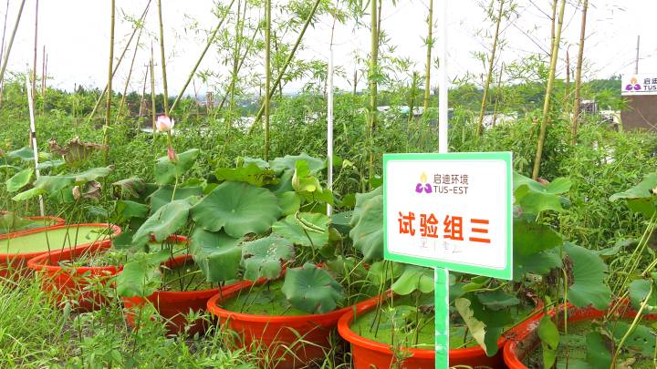 CGPAYǮ��